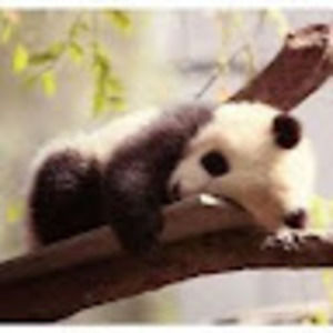 Meet your Posher, Nate